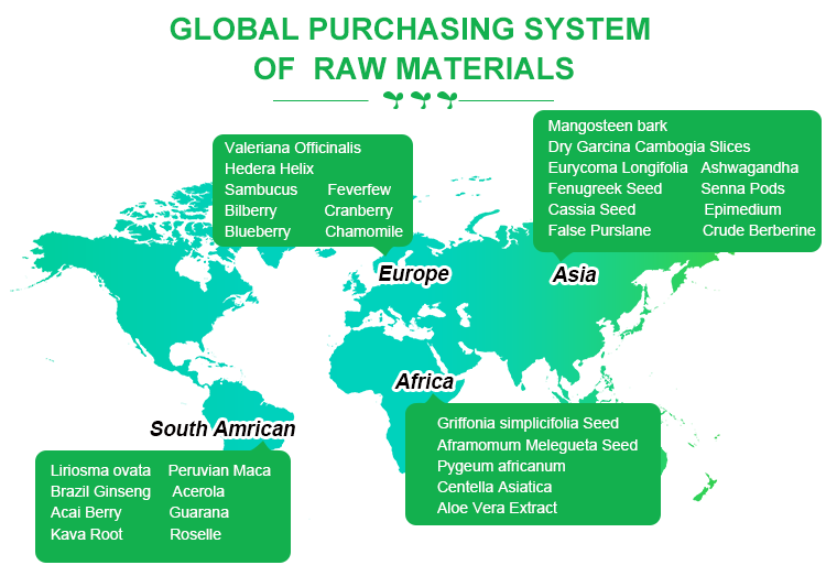 Global distribution and supply chain for sourcing, manufacturing, and delivering products worldwide